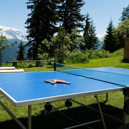 Sportina 12 Apartment Riederalp